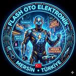 flashelektronik