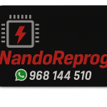 nandinho1