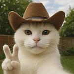Gattoillo