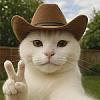 Gattoillo